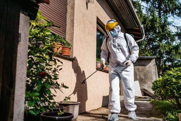 Best Commercial Pest Control Services  in Lumbine, CO