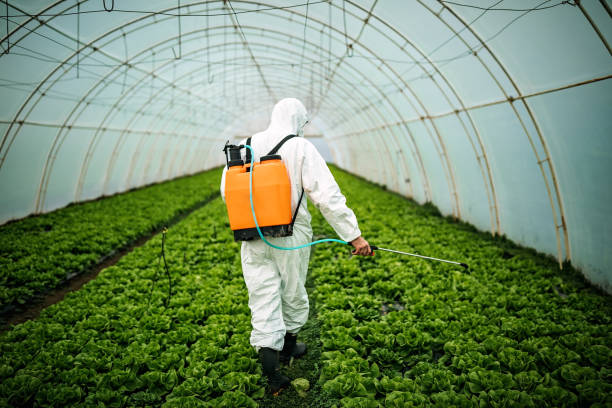 Best Pest Prevention Services  in Lumbine, CO