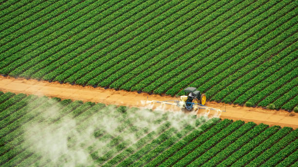 Best Pest Inspection Near Me  in Lumbine, CO